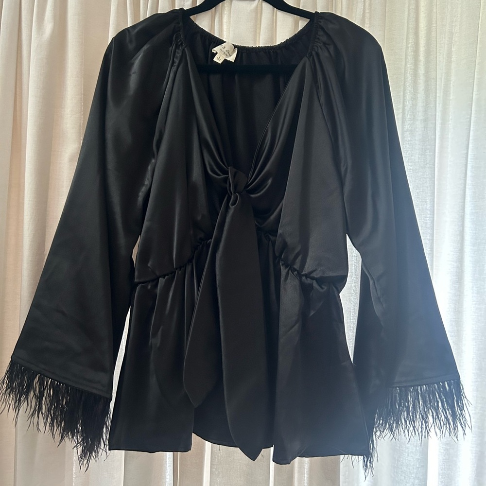 1.4.3. Story by Line Up Black Feather Sleeve Blouse